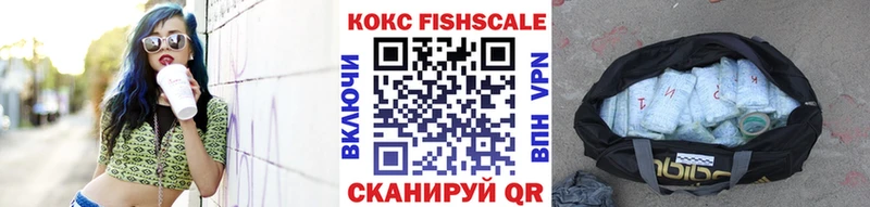 где можно купить наркотик  Гусиноозёрск  Кокаин FishScale 