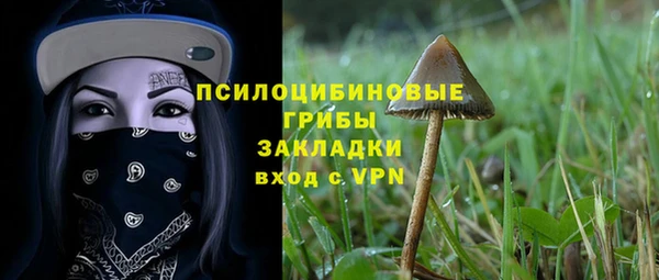 гидра Алексин