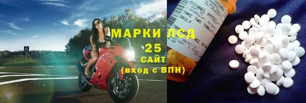 хмурый Абаза