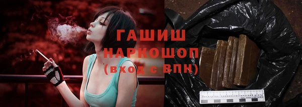 хмурый Абаза