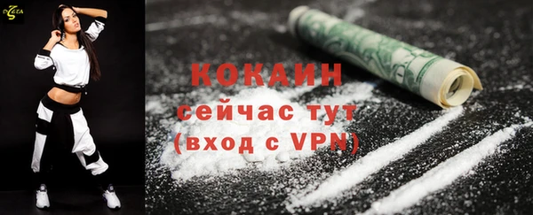 хмурый Абаза