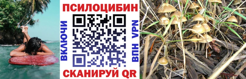 Псилоцибиновые грибы Psilocybine cubensis  где найти наркотики  Гусиноозёрск 